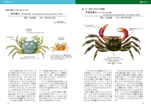 小網代の谷のカニ図鑑 Crabs Of Koajiro All Illustrated 鶴見川流域ネットワーキング Trネット