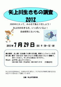 7月29日（日） 矢上川生きもの調査