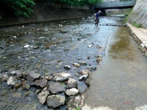 親水広場前の水の流れをゆるやかにするための水制づくり