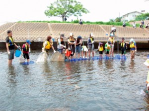 5/6（日） 矢上川ウナギ観察会