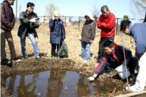 3月26日 新横浜公園にドジョウ放流 