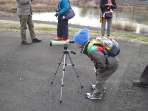 野鳥観察のようす