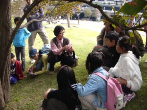 身近な生きもの「素敵なクモたちのくらし」