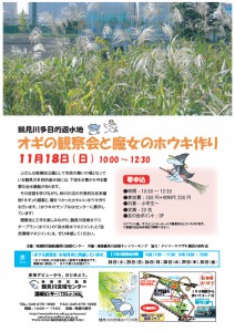 【イベント情報】 11月18日（日） 鶴見川多目的遊水地 オギの観察会と魔女のホウキ作り