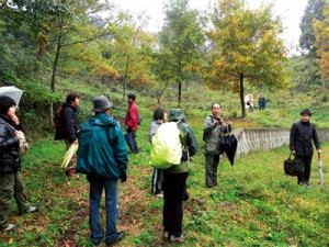 11/24（土） 綱島高水敷クリーンアップと外来植物除去による植生管理 見学会