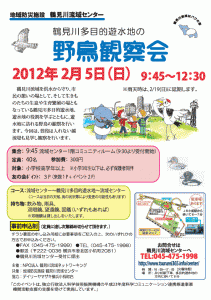 【イベント情報】 鶴見川多目的遊水地の野鳥観察会