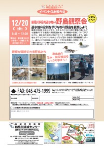 【イベント情報】 12月20日（土）鶴見川多目的遊水地の野鳥観察会