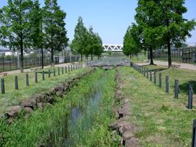 新横浜公園（水路）