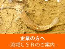 企業の方へ　流域ＣＳＲのご案内