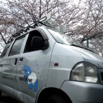 バク号と桜（2012年4月7日　鴨居高水敷付近にて）