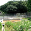 慶應義塾大学日吉キャンパス・まむし谷に防災調整池完成、ビオトープへ