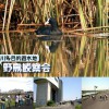 鶴見川多目的遊水地 野鳥観察会
