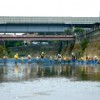7/29（日）矢上川生きもの調査　～はじめての川体験をサポート～
