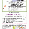 【イベント情報】 つくろう！育てよう！ チョウのビオトープ ＆虫とり探険と生物多様性講座