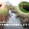 11月17日（日）ホタル水路のお世話をしよう！＜新横浜公園ホタルプロジェクト＞