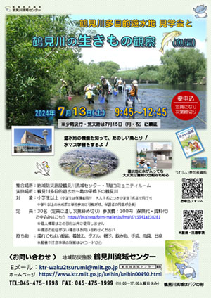2024年7月13日（土）鶴見川多目的遊水地 見学会と鶴見川の生きもの観察（魚編）