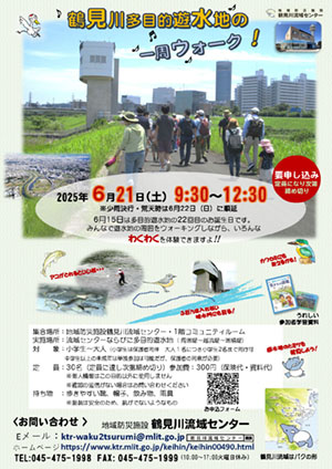 2025年6月21日（土）鶴見川多目的遊水地の一周ウォーク！
