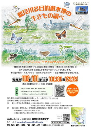 2025年10月11日（土）鶴見川多目的遊水地の生きもの調べ