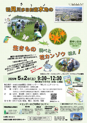 2026年5月2日（土）鶴見川多目的遊水地の生きもの調べと花カンゾウ植え！　開催