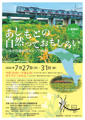 2026年7月27日（月）−31日（金）あしもとの自然っておもしろい